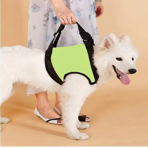 Senior Dog Support Harness
