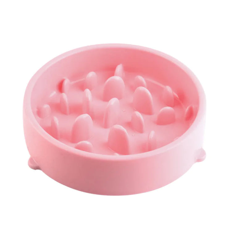 Healthy Pace Pet Bowl