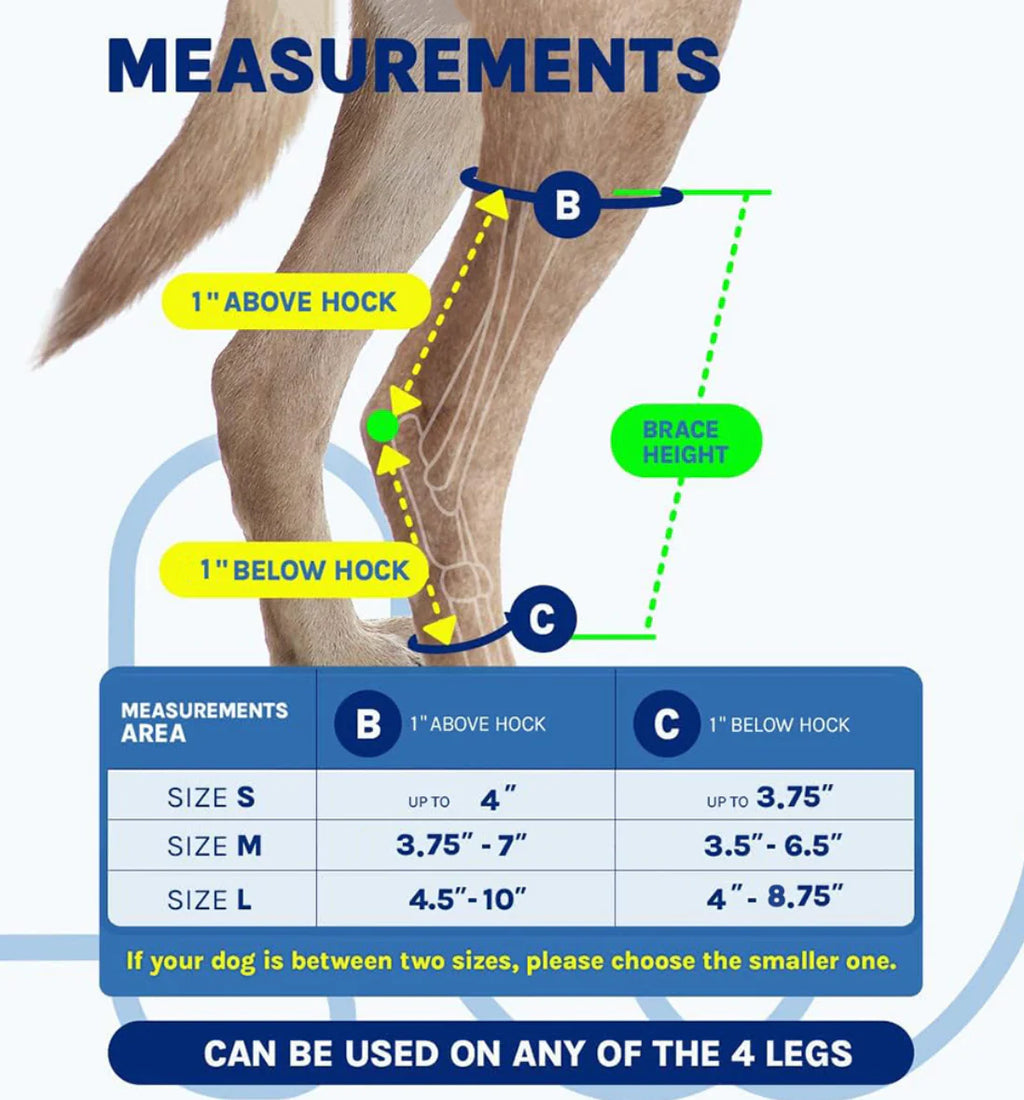 Canine Knee Support Harness