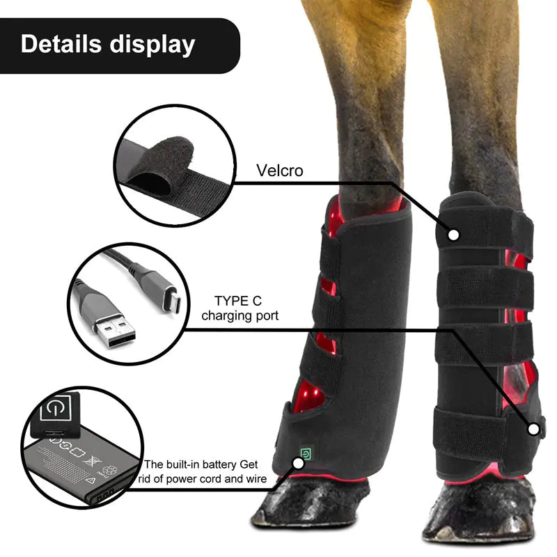 Equine Leg Red Light Therapy Kit
