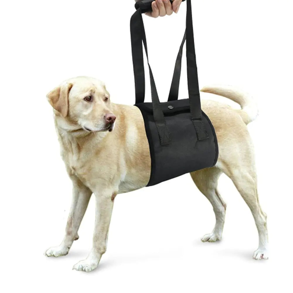 Adjustable Canine Support Harness (Small to Large)