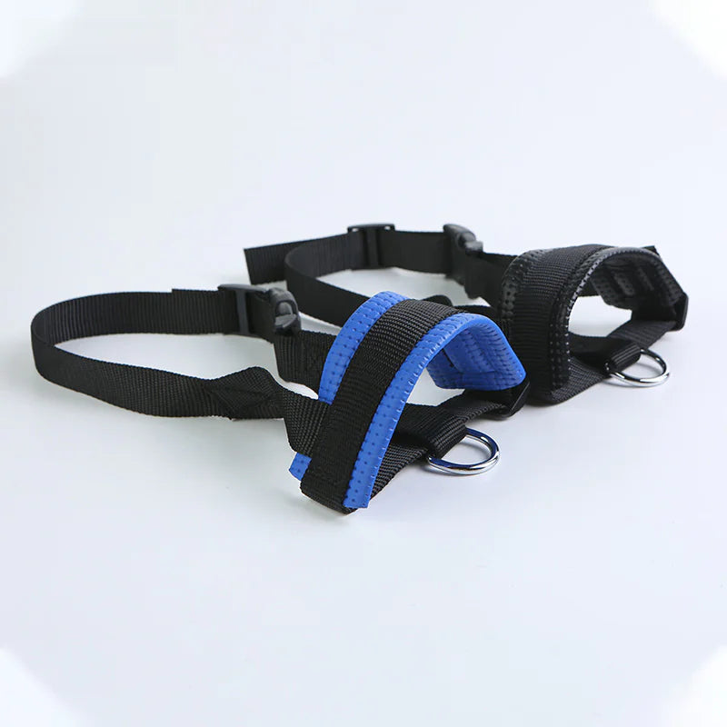 Quiet Comfort Dog Muzzle - Adjustable Sizes