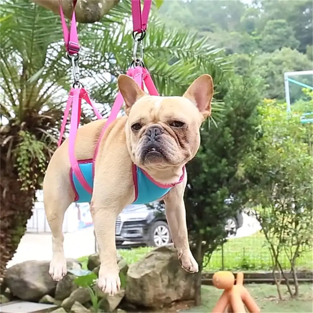 Cozy Pet Grooming Hammock Set