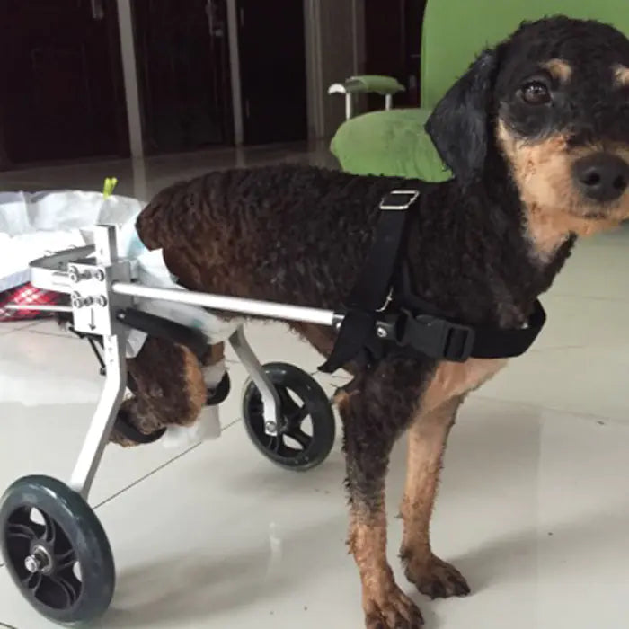 Mobility Friend Pet Wheelchair