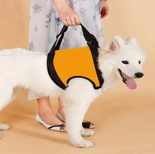 Senior Dog Support Harness