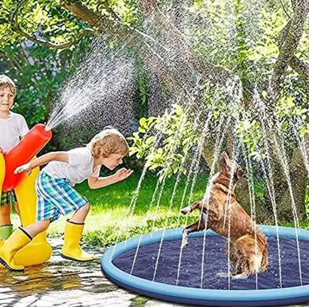 Pet Splash Zone Pool