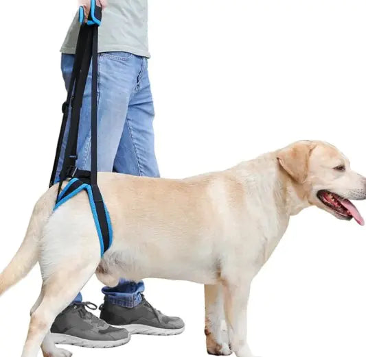 PawPal Mobility Strap