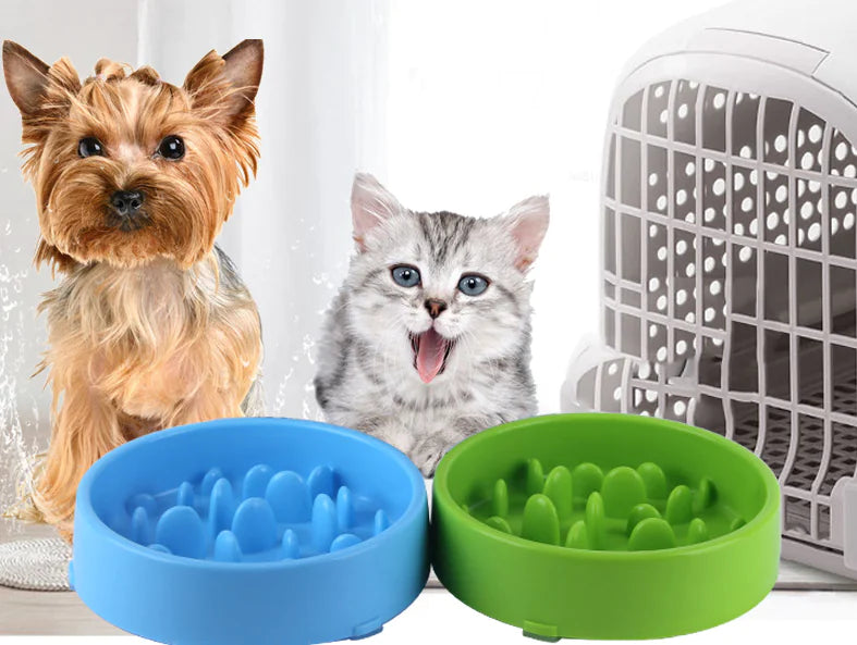 Healthy Pace Pet Bowl