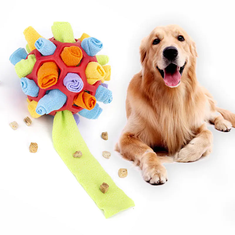Canine Sniff & Treat Puzzle Sphere