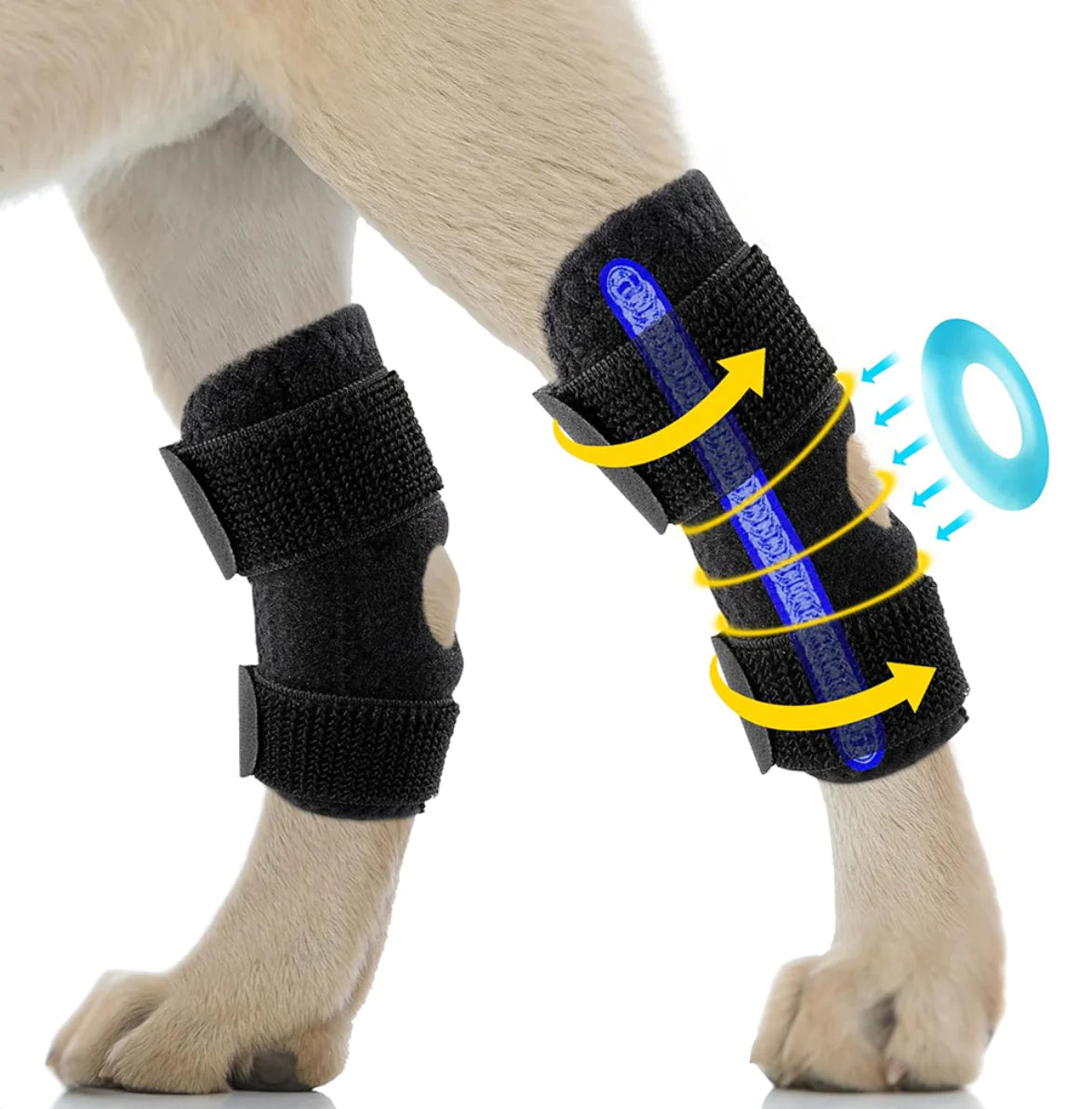 Canine Knee Support Harness
