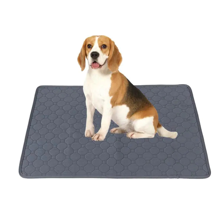 EcoWise Reusable Dog Training Pads