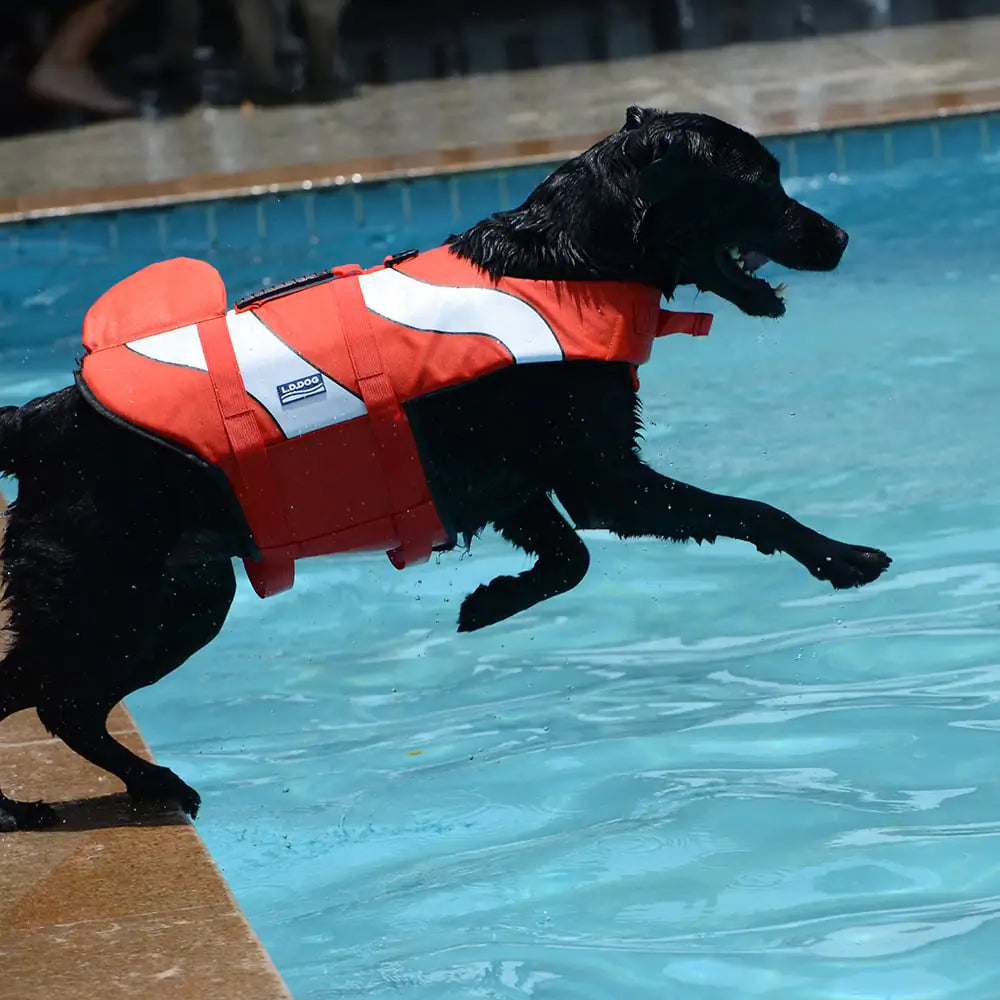 Swim-Safe Dog Vest