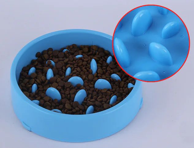 Healthy Pace Pet Bowl