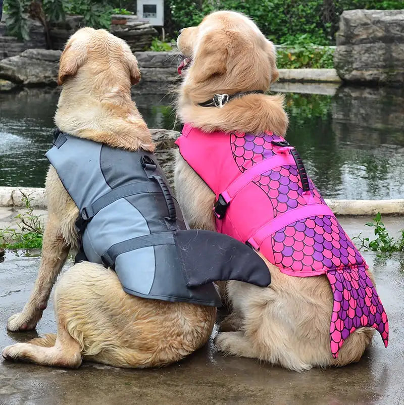 Swim-Safe Dog Vest