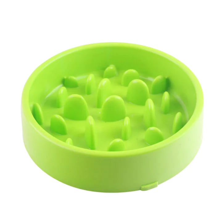 Healthy Pace Pet Bowl