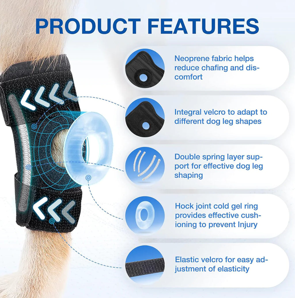 Canine Knee Support Harness