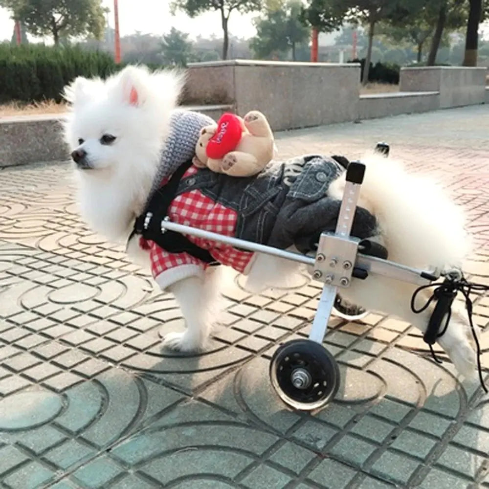 Mobility Friend Pet Wheelchair