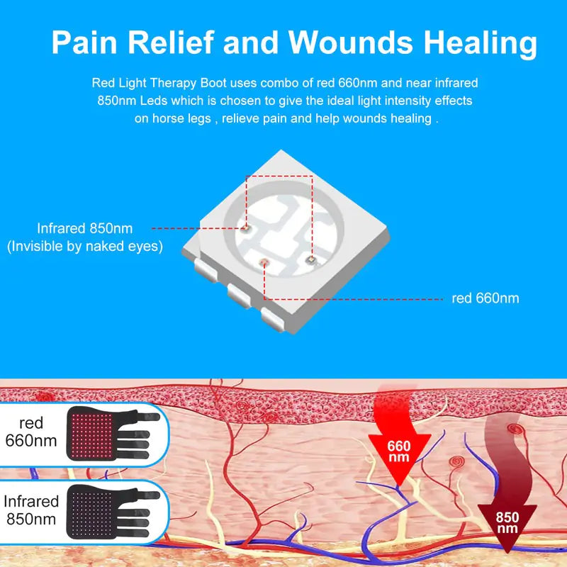 Equine Leg Red Light Therapy Kit