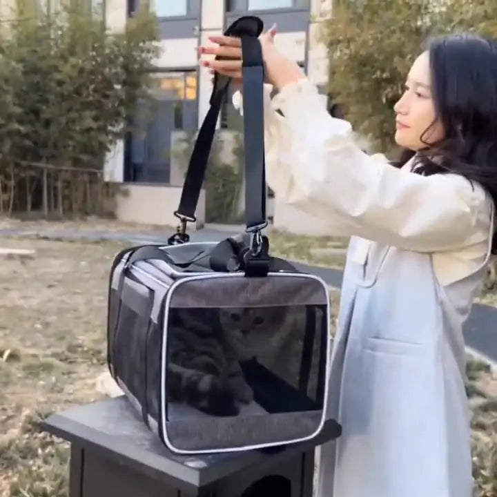 Pet Travel Tote