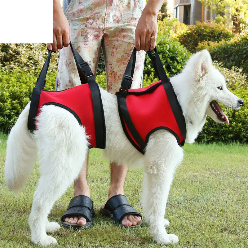 Senior Dog Support Harness