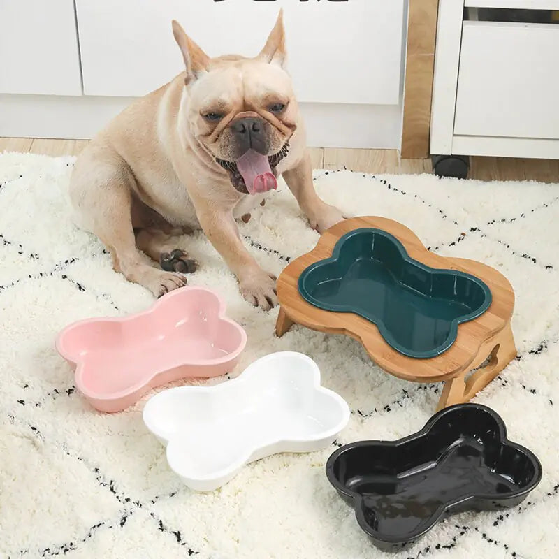 Stable Ceramic Pet Bowl for Neck Comfort