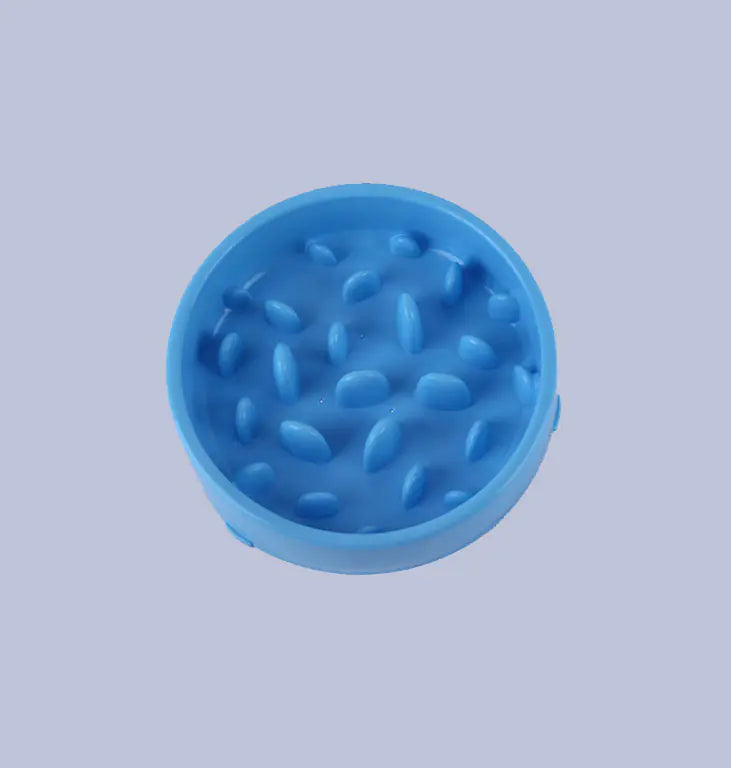 Healthy Pace Pet Bowl