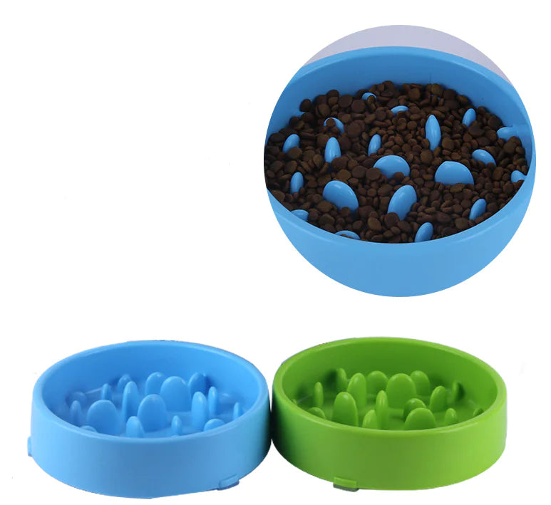 Healthy Pace Pet Bowl