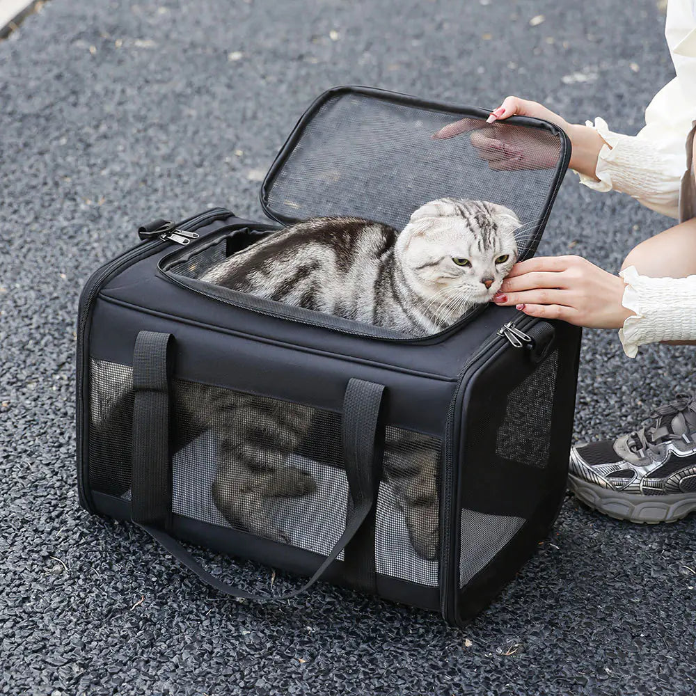 Pet Travel Tote