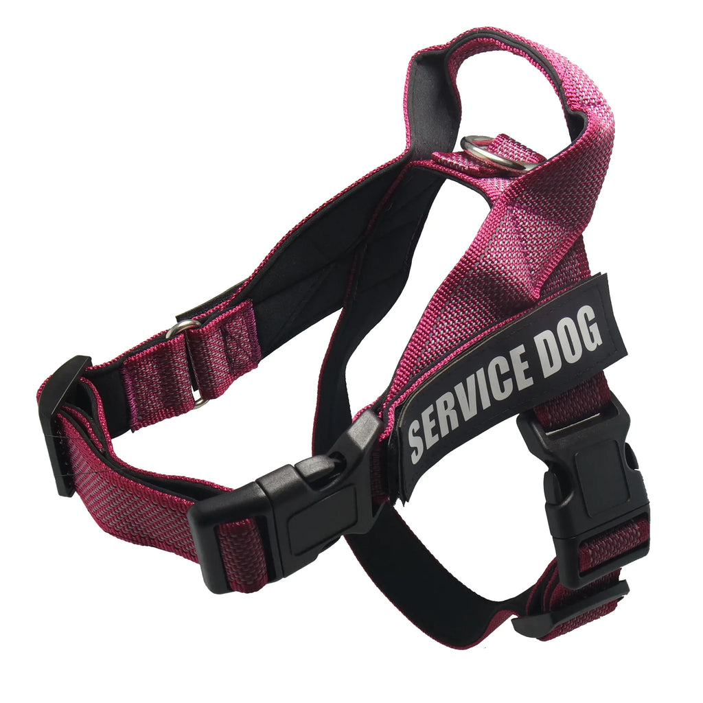 Maxi Dog Car Travel Harness