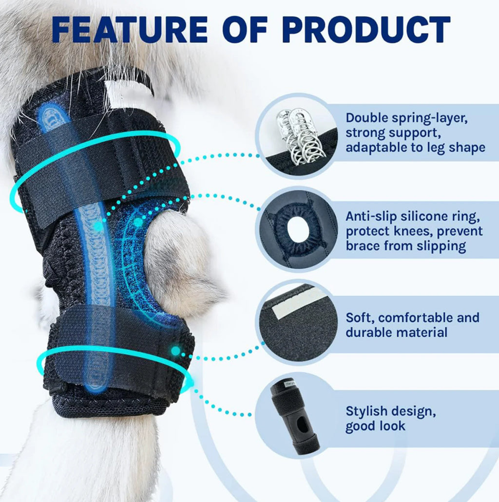 Canine Knee Support Harness
