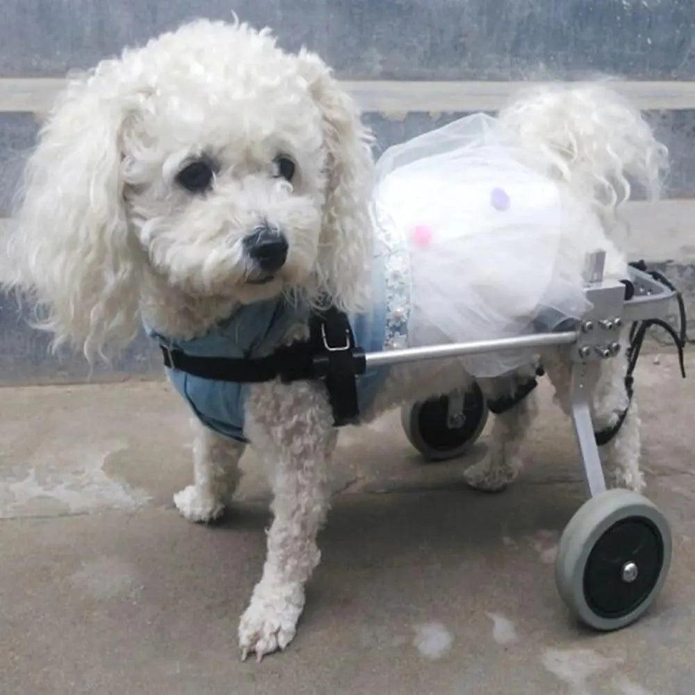 Mobility Friend Pet Wheelchair