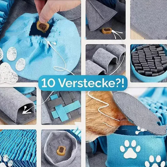 Scent Trainer Mat for Dogs