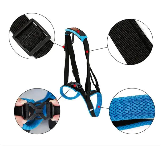 PawPal Mobility Strap